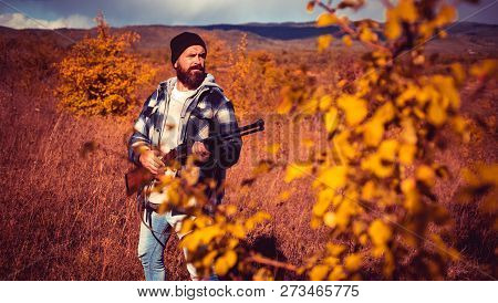 Autumn Hunting Season. Hunter With Shotgun Gun On Hunt. Autunm Hunting. Autumn. Big Game