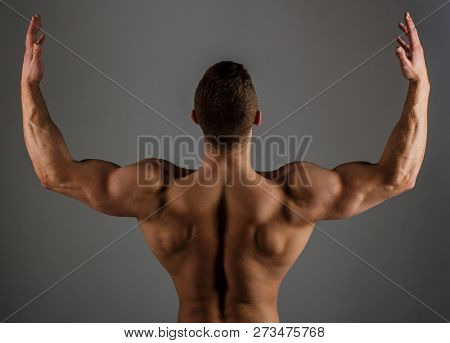 Body Builder, Muscled Male, Strong Man, Bodybuilder, Muscular Man, Strong Male. Brawny Guy Bodybuild