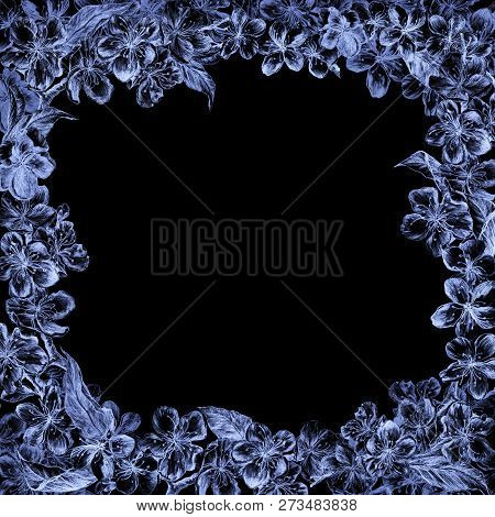 Hand Drawn Charcoal Pencil Blue Flowers Of The Pulm Blossoms And Leaves, Petals And Buds In Vintage 