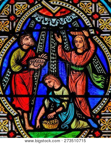 Body Of Christ - Stained Glass
