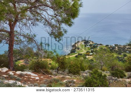 Looking Across A Campsite Towards Chrysohou Bay, Laatchi, Polis And The Troodos Mountains, Akamas Pe