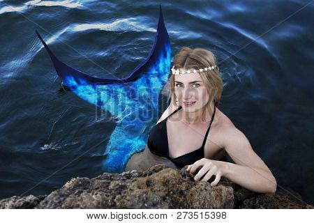 A Real Mermaid In The Water. Swam To Shore. Hiding Behind The Stones. Blue Tail. The Body Is Coverd 