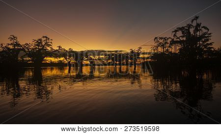 Sunset In The Cuyabeno Lagoon, Within The Cuyabeno Faunistic Production Reserve. It Is One Of The Mo