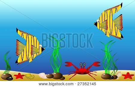 Sea life