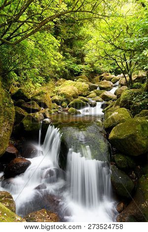 Small Cascading Waterfall On The Wairere Falls Trail