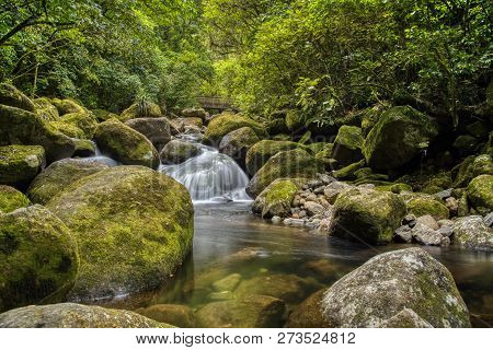 Waterfall On The Wairere Falls Trail, Waikato, New Zealand