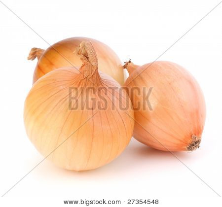 Zwiebel isoliert auf weißem Hintergrund