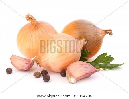 Zwiebel und Knoblauch, Gewürznelke isolierten auf weißen Hintergrund