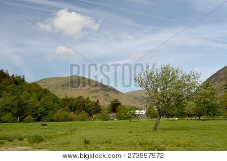Scenery Along The Shores Of Ullswater Near Glenridding In The English Lake District