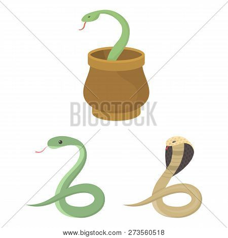 Vector Illustration Of Snake  And Cobra  Logo. Collection Of Snake  And Tattoo Stock Vector Illustra