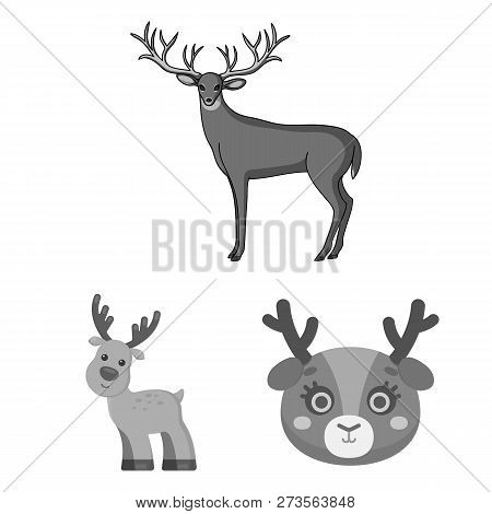 Vector Illustration Of Elk And Head Symbol. Set Of Elk And Stag Stock Vector Illustration.