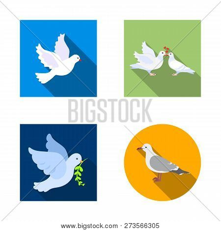 Isolated Object Of Flying And Dove Symbol. Set Of Flying And Carrier Vector Icon For Stock.