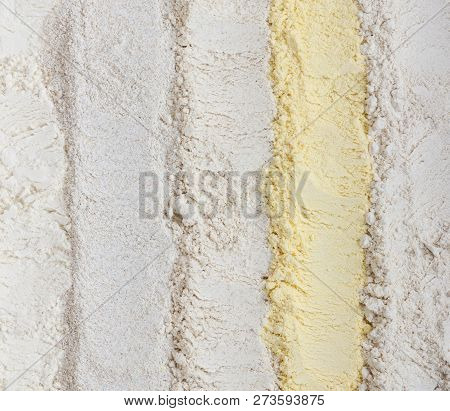 Different Types Of Flou, Top View. Wheat, Rye, Whole Grain, Corn And Oat Flour.
