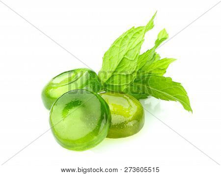 The Mint Lollipops And Branch Of Mint Isolated On A White Background.