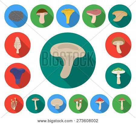 Poisonous And Edible Mushroom Flat Icons In Set Collection For Design. Different Types Of Mushrooms 