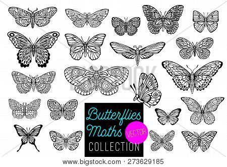 Butterflies Drawing Vector Set, Isolated, Sketch Style Collection Insert Wings Emblem Symbols, Black