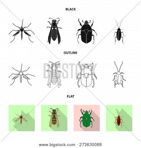 Isolated Object Of Insect And Fly Icon. Set Of Insect And Element Vector Icon For Stock.
