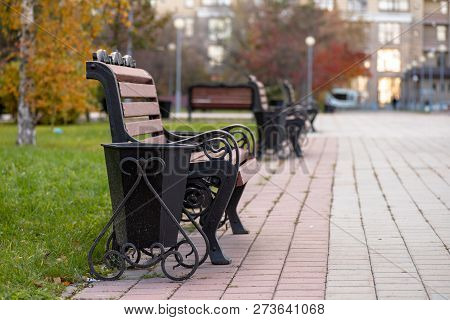 Wooden Bench Standing In The Autumn Park