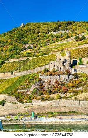Ehrenfels Castle With Vineyards In Autumn. The Upper Middle Rhine Valley, Germany