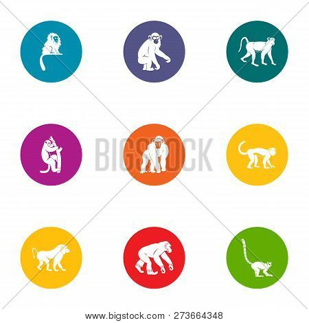 Prankster Icons Set. Flat Set Of 9 Prankster Icons For Web Isolated On White Background