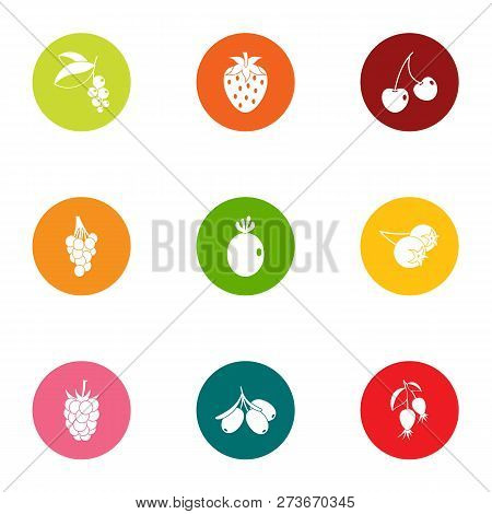 Berry Field Icons Set. Flat Set Of 9 Berry Field Icons For Web Isolated On White Background