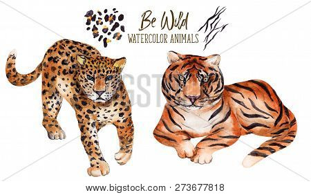 Watercolor Illustration With Leopard And Tiger On A White Background