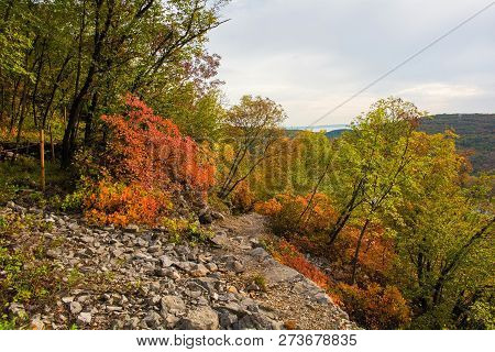 Autumn Colours On Display In The Carso Karst Limestone Area Of Friuli, Near Doberdo In North East It
