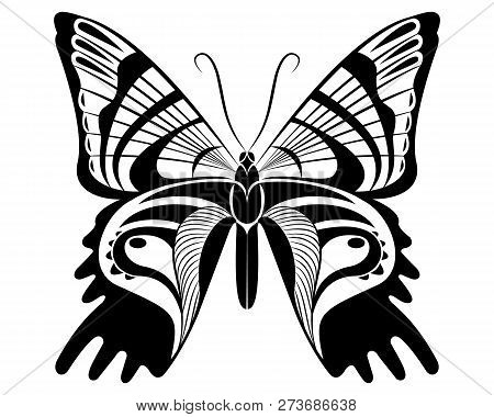 Urania Ripheus Butterfly Vector Art Stencil For Tattoo Or T-shirt Print