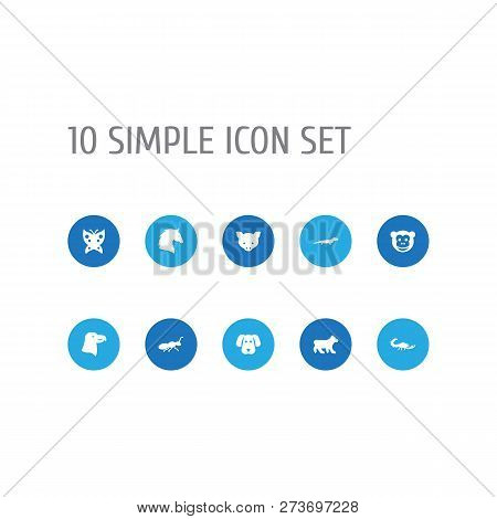 Set Of 10 Alive Icons Set. Collection Of Dog, Bear, Horse And Other Elements.