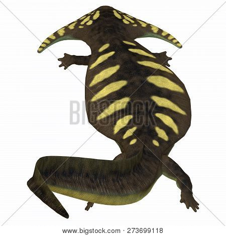 Diplocaulus Amphibian Tail 3d Illustration - Diplocaulus Was An Amphibian That Lived In The Permian 