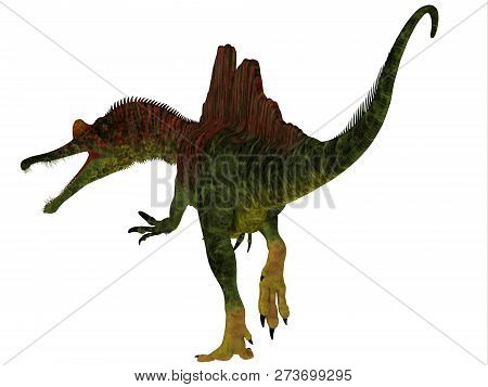 Ichthyovenator Dinosaur Tail 3d Illustration - Ichthyovenator Was A Carnivorous Theropod Dinosaur Th