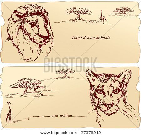 Cabeças de Leão e leopardo. Mão desenhada tinta retrato horizontal esboço.