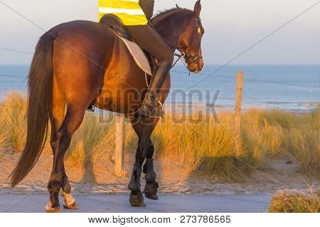 Kijkduin, The Hague - December 13 2018: Horse Being Ridden Through Dunes To A Beach At Sunrise For R