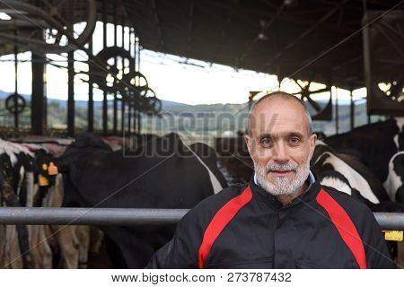 Portrait Of A Farmer In A Farm Of Cows