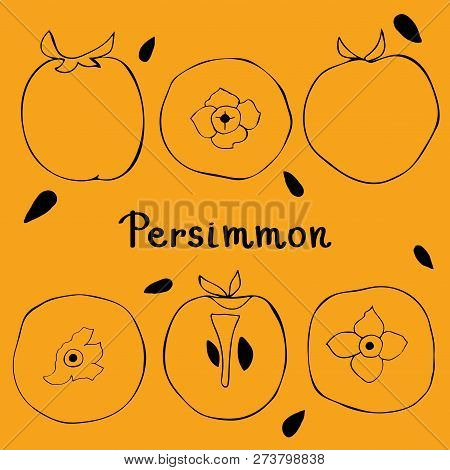 Figure Silhouette Of Persimmon. View From Above, Whole Persimmon, Cut Persimmon. Tropical Fruits.