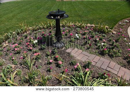 Small Black Birdbath Surrounded By Petunia Flowers In Summer In A Garden