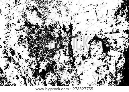 Black On White Weathered Texture. Aged Tree Bark Stratched Surface. Distressed Vector Overlay For Vi
