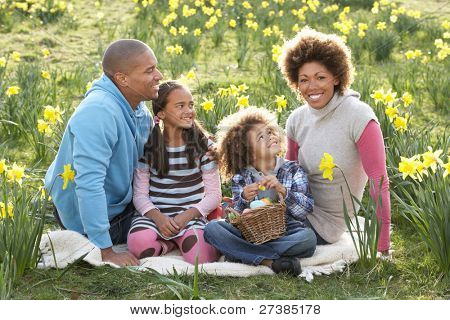 im Feld Frühling Narzissen entspannen Familie