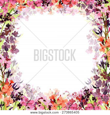 Hand Drawn Watercolor Square Rame With Meadow Small Pink And Violet Flowers And Translucent Flower L