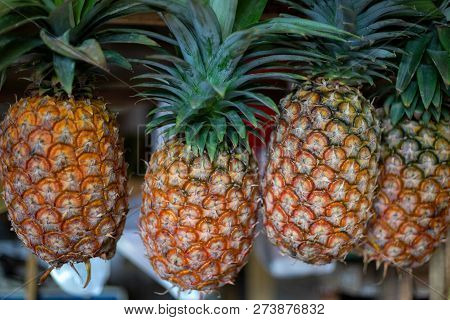 Ripe Pineapples With Green Leaves On Market Stall. Yellow Pineapple For Sell. Tropical Fruit On Natu