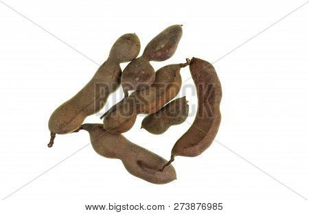 Tamarind (tamarindus Indica) Pod-like Fruit As Off The Tamarind Tree, A Leguminous Tree Native To Tr