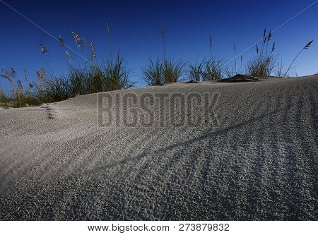 The Ripples Of The Sand On The Dunes At Jekyll Island, Georgia Lead Up To The Sea Oats At The Top Of