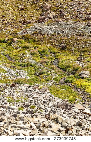 Small Creak Bed Through Rocks And Grass