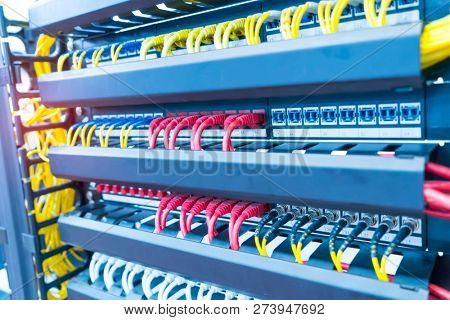 network cable connecting on network core switch close up