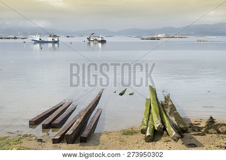 Mussels Aquaculture. Sea Landscape Of Galicia Coast. Mussel Boats And Mussel Bed Woods. Galicia Sea 