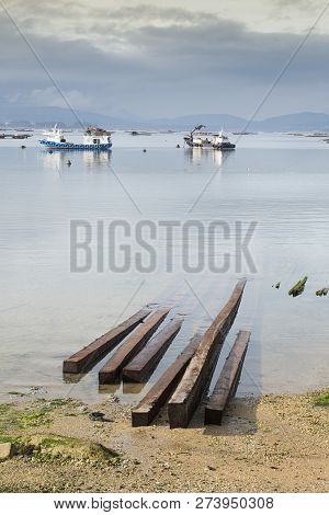 Mussels Aquaculture. Sea Landscape Of Galicia Coast. Mussel Boats And Mussel Bed Woods. Galicia Sea 