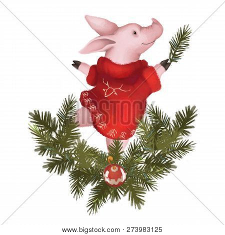 Christmas Pig In A Sweater, A Symbol Of The 2019 New Year. Isolated On White Background. With Garlan