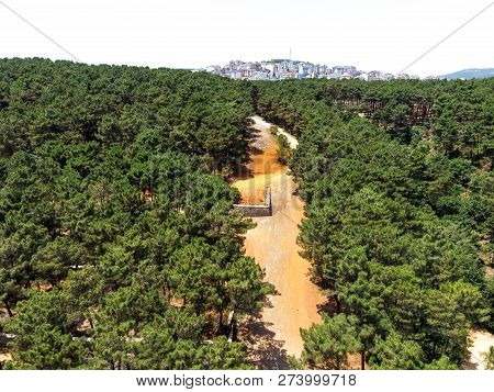 Aerial Drone View Of Aydos Forest Lake In Istanbul. Natural Life.