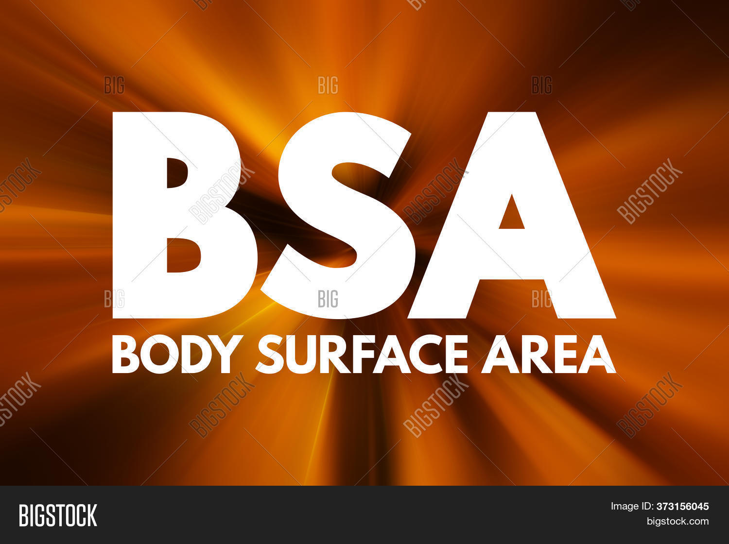 Bsa Body Surface Image Photo Free Trial Bigstock