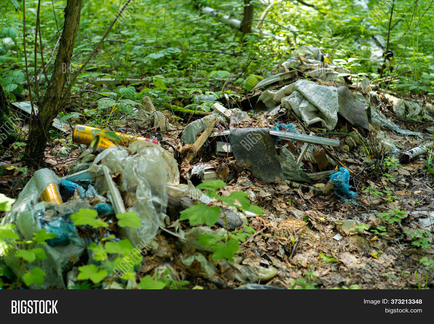 Garbage Dump Forest Image & Photo (Free Trial) Bigstock
